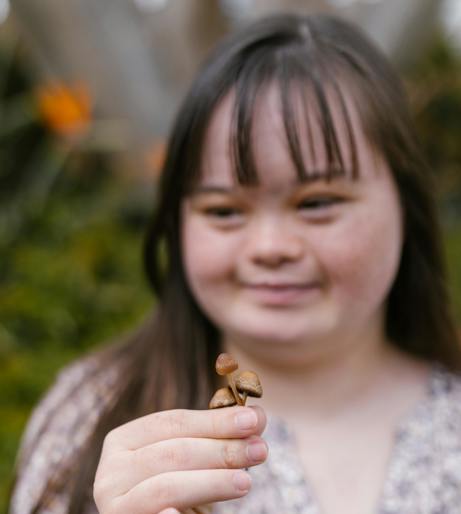 Mushroom Long overview