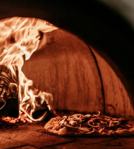 Mushroom Make Overview