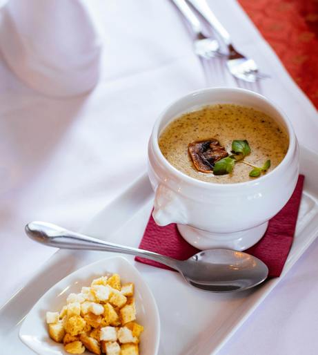 Mushroom soup overview