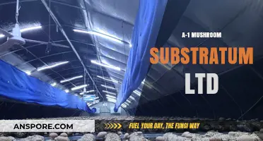 Mushroom Substratum: A-1's Innovative Approach to Cultivation
