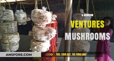 Mushroom Horizons: AH-Ventures in Fungi