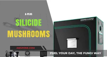 Silicide Mushrooms: A+ Benefits and Uses