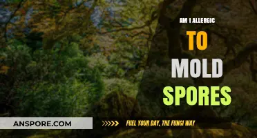 Could Mold Spores Be Triggering Your Allergy Symptoms? Find Out