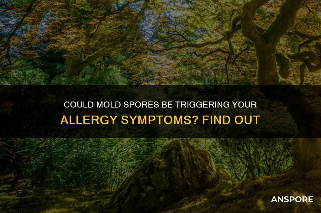 am i allergic to mold spores