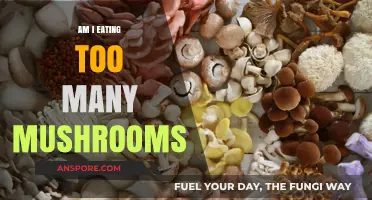 Are You Overdoing It? Signs of Excessive Mushroom Consumption