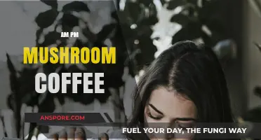 Mushroom Coffee: AM-PM Energy Boost