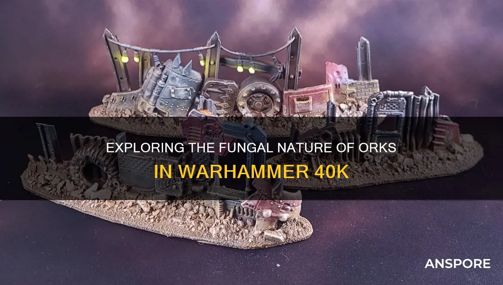 are 40k orks mushrooms