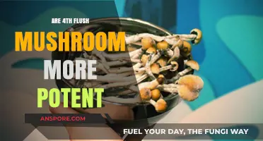 Exploring the Potency of Fourth Flush Mushrooms: Fact or Fiction?