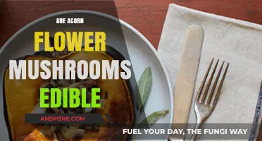 Are Acorn Flower Mushrooms Edible? A Comprehensive Guide to Safety