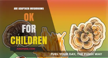 Adaptogenic Mushrooms for Kids: Safe or Not?