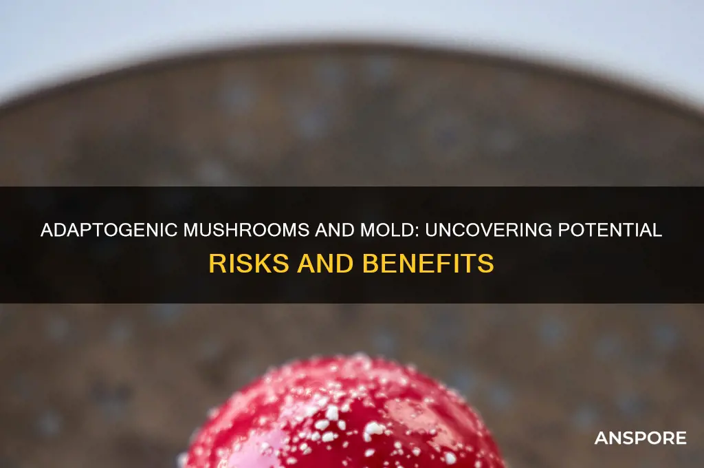 are adaptogenic mushrooms bad for mold