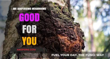 Adaptogenic Mushrooms: Unlocking Health Benefits and Wellness Potential