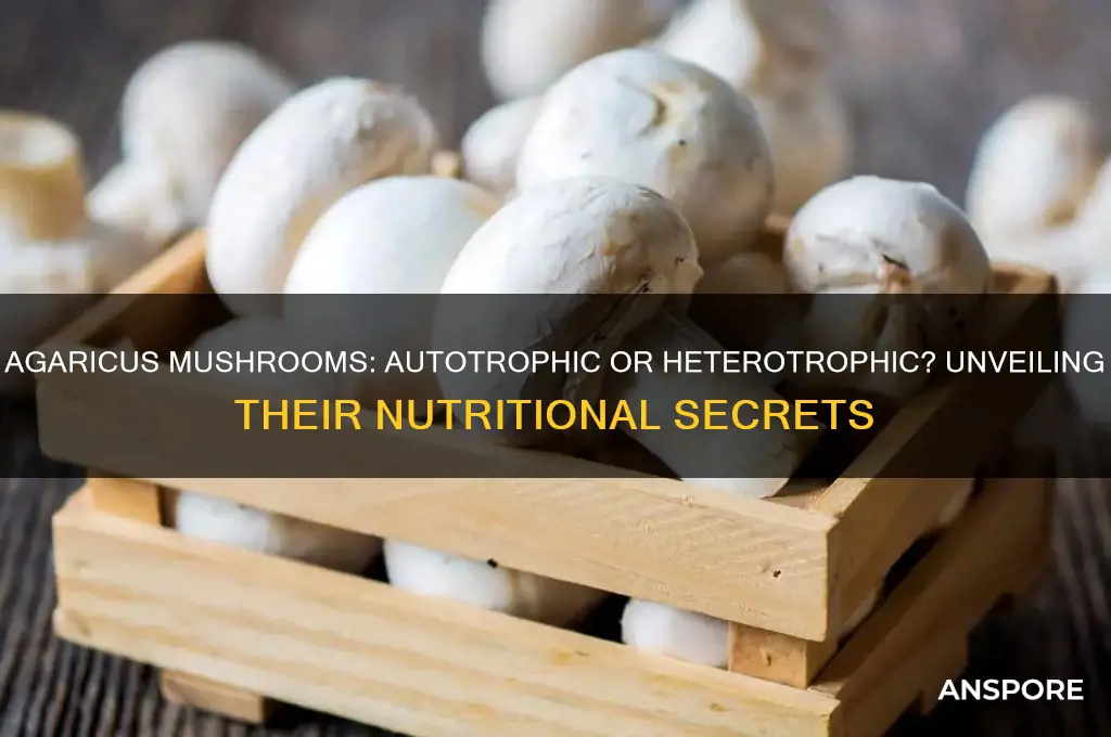 are agaricus mushrooms autotrophic or heterotrophic