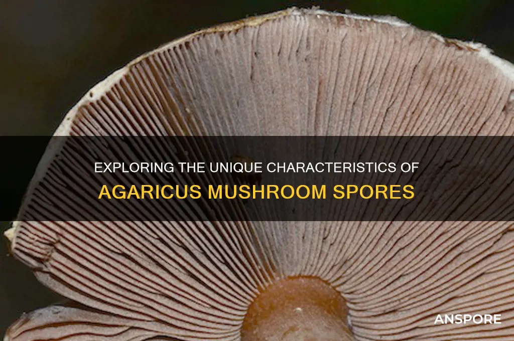 are agaricus spores different