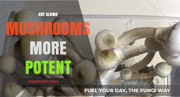 Albino Mushrooms: Are They Extra Potent?