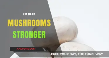 Albino Mushrooms: Stronger or Just Different?
