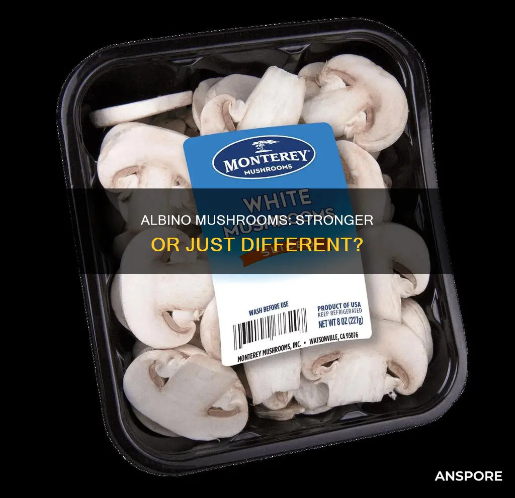 are albino mushrooms stronger