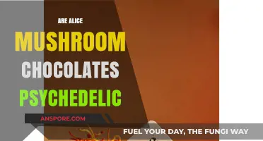 Alice Mushroom Chocolates: A Psychedelic Trip?