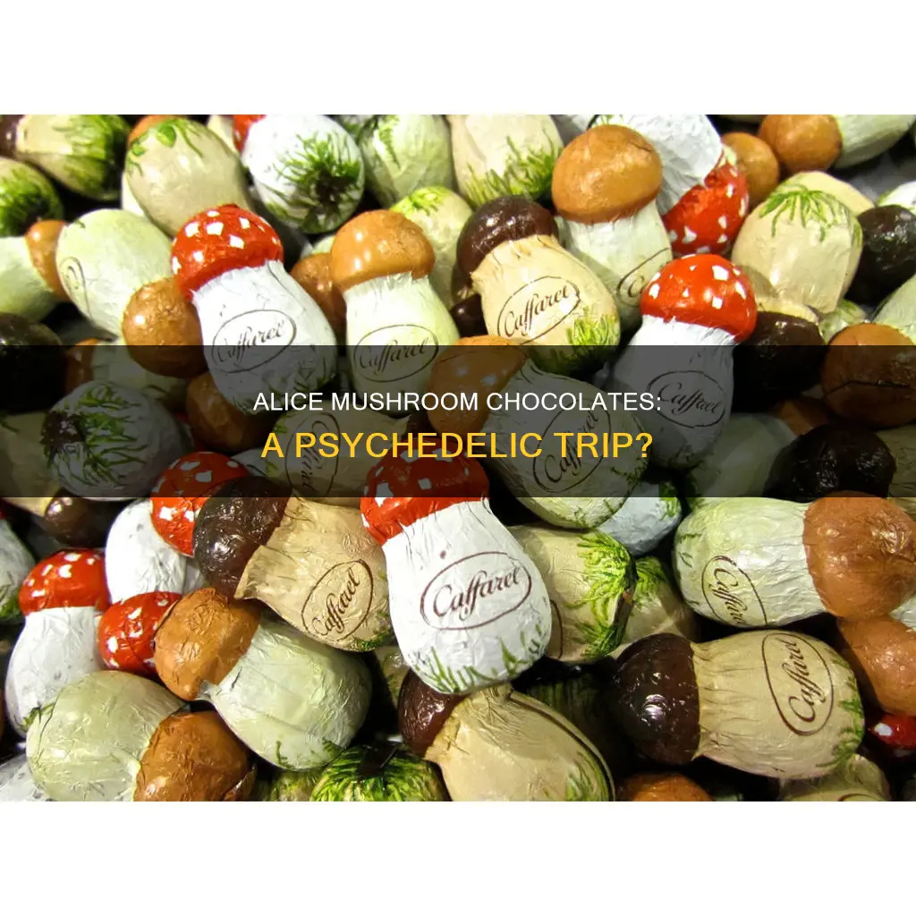 are alice mushroom chocolates psychedelic
