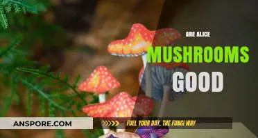 Are Alice Mushrooms Good? Benefits, Risks, and Safe Consumption Tips