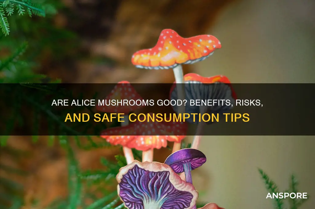 are alice mushrooms good