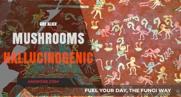 Magic Mushrooms: Alice's Adventures in Wonderland