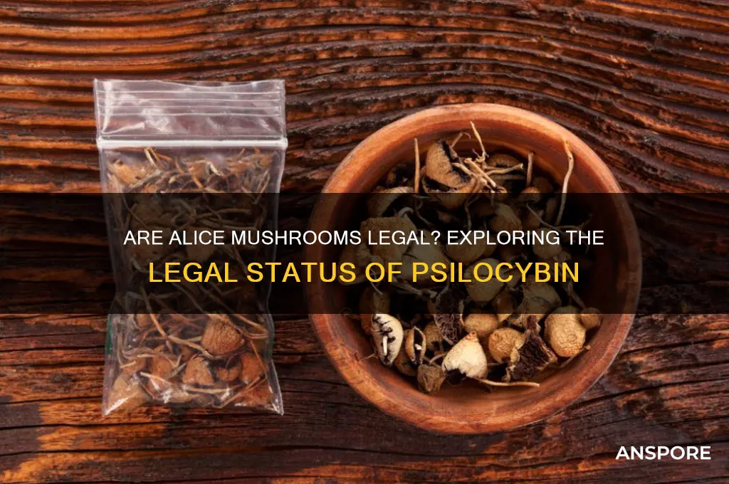 are alice mushrooms legal
