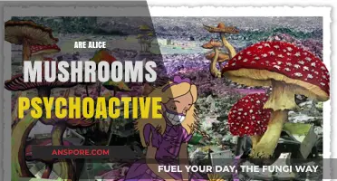 Magic Mushrooms: Alice's Adventures in Wonderland