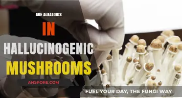 Psychedelic Mushrooms: Alkaloids and Their Effects