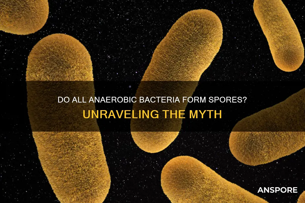 are all anaerobic bacteria spore formers