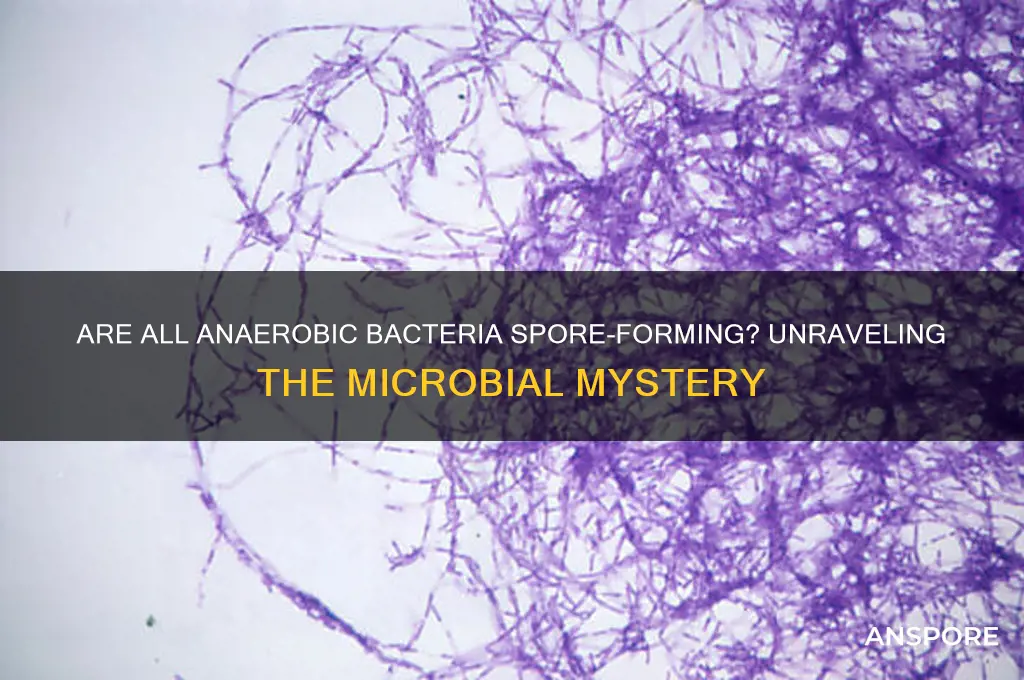 are all anaerobic spore forming