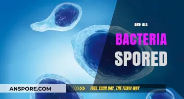 Do All Bacteria Form Spores? Unraveling Microbial Survival Strategies