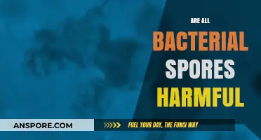 Are All Bacterial Spores Harmful? Unveiling the Truth Behind Their Nature