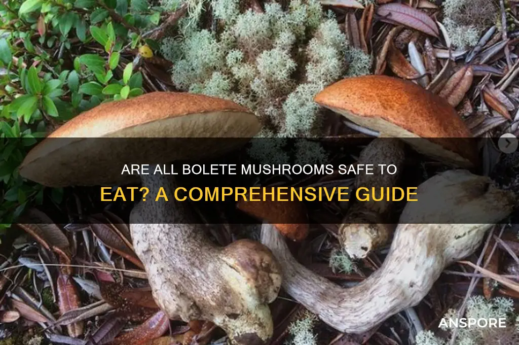 are all bolete mushrooms edible