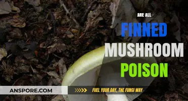 Are All Finned Mushrooms Poisonous? Unraveling the Myth and Facts