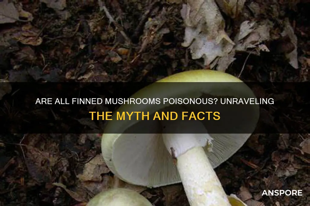are all finned mushroom poison