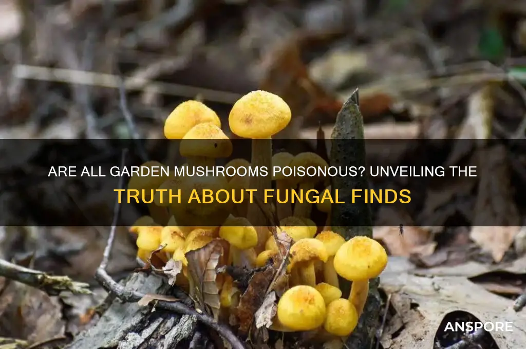 are all garden mushrooms poisonous