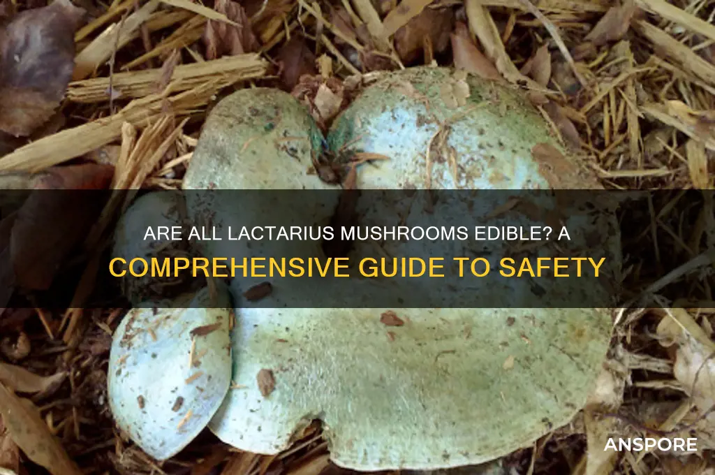 are all lactarius mushrooms edible