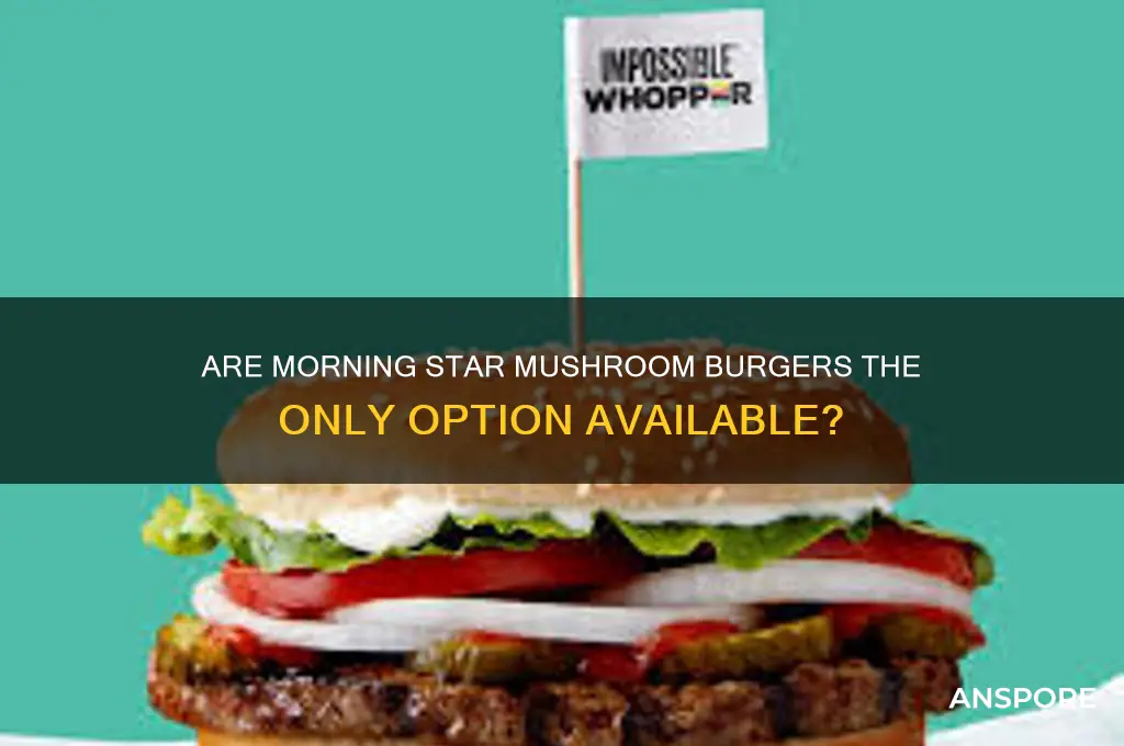 are all morning star burgers made with mushrooms