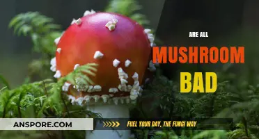 Are All Mushrooms Bad? Debunking Myths About Fungi Safety