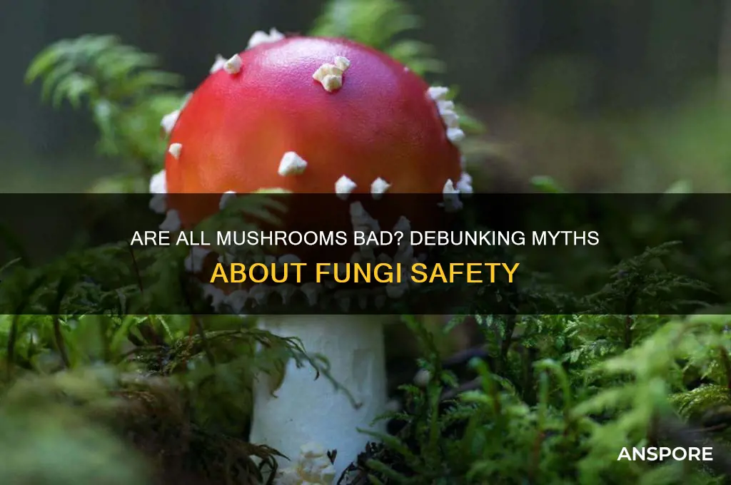 are all mushroom bad
