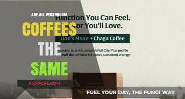 Are All Mushroom Coffees Equal? Exploring Varieties and Benefits