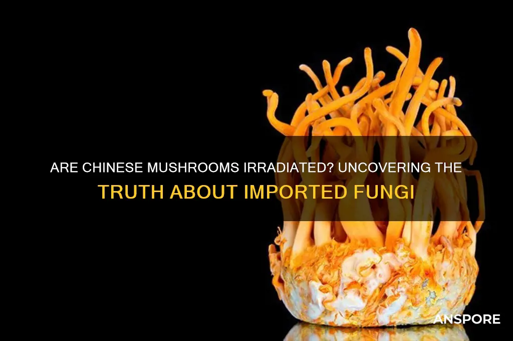 are all mushroom irradiated from china