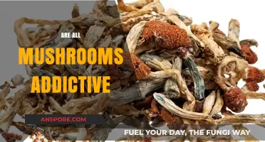 Mushrooms: Addictive or Not?