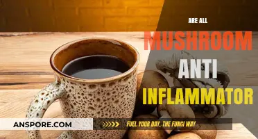 Mushrooms: Nature's Anti-Inflammatory Superfood?