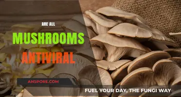 Mushrooms: Nature's Antiviral Powerhouses?
