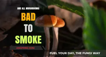 Smoking Mushrooms: Safe or Risky? Debunking Myths and Facts