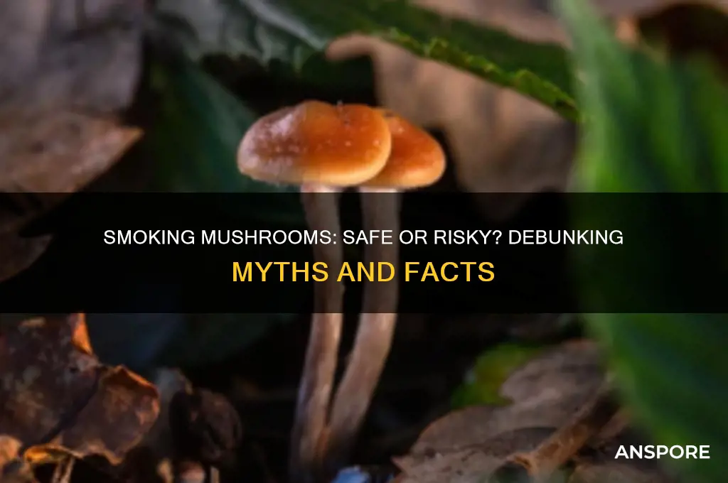 are all mushrooms bad to smoke