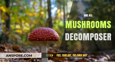 Mushrooms: Nature's Decomposing Superheroes?