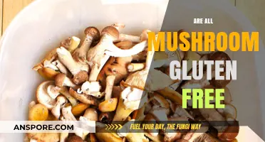 Mushrooms: Gluten-Free Superfood or Hidden Gluten Danger?